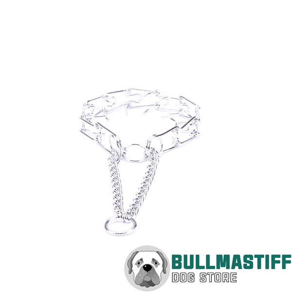 Pinch collar of chrome plated steel for aggressive canines