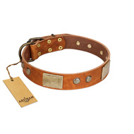"Ancient Treasures" FDT Artisan Tan Leather Bullmastiff Collar with Antiqued Plates and Studs
