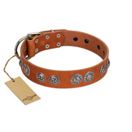 "Woofy Majesty" FDT Artisan Tan Leather Bullmastiff Collar with Round Silver-like Plates