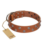 "Waltz of the Flowers" Handmade FDT Artisan Tan Leather Bullmastiff Collar with Chrome-plated Engraved Studs