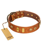 "Egyptian Script" FDT Artisan Tan Leather Bullmastiff Collar with Plates and Small Studs