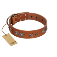 "Splendid Armor" Premium Quality FDT Artisan Tan Designer Bullmastiff Collar with Shields and Stars