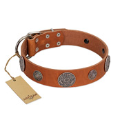 "Foxy Nature" FDT Artisan Tan Leather Bullmastiff Collar with Chrome Plated Brooches