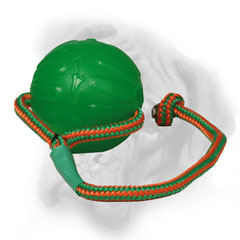 Flying high and swinging Bullmastiff toy on a string