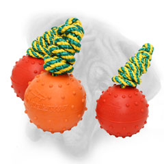 Rubber ball for Bullmastiff with colorful nylon rope