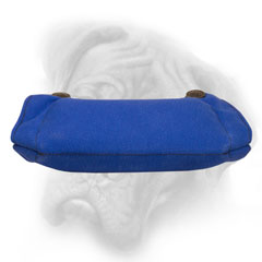 Bite builder for Bullmastiff training