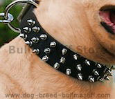 Spiked dog collar,leather dog collar,custom dog collar,best dog collar