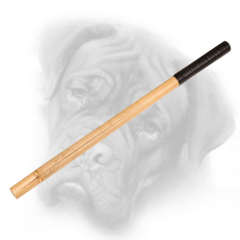 Noisy Bullmastiff stick for Schutzhund training