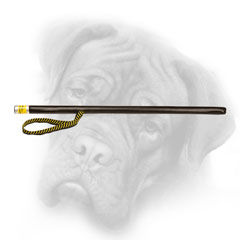 Stick for Bullmastiff agitation training