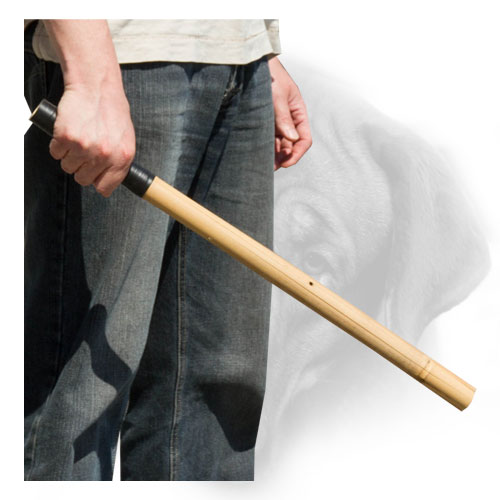 Bamboo Bullmastiff stick with covered handle