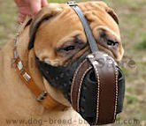 Bullmastiff muzzle,leather dog muzzles, wire basket dog muzzles,ventilation dog muzzle