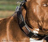 Bullmastiff  dog collar,nylon dog collar,leather dog collar,spiked dog collar