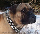 hs collars, pinch dog collar,Choke dog collar, FUR SAVER DOG COLLAR
