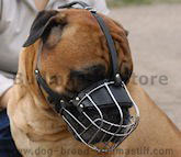 Wire basket dog muzzle,best dog muzzle