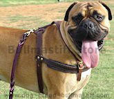 Dog leash,dog lead, leather dog leash,nylon dog leash, walking dog leash,training dog leash
