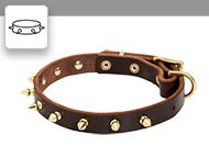 The Best Designer Leather Dog Collar with Massive Plates and Spikes for  Bullmastiff breed [C84##1014 Brass massive plates with 6 nickel spikes 3  pyramids] : Bullmastiff dog harness, Bullmastiff dog muzzle, Bullmastiff