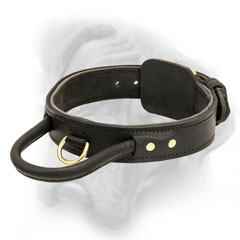 Bullmastiff quality 2 ply leather dog collar