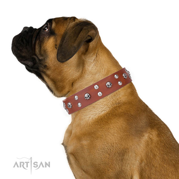 Easy wearing embellished dog collar of top quality natural leather