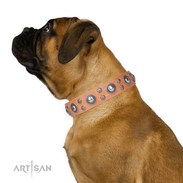 Basic training decorated dog collar of best quality leather