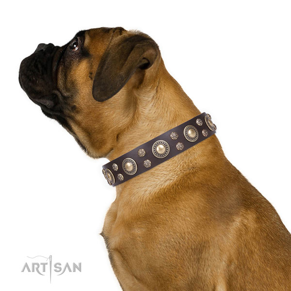 Comfortable wearing embellished dog collar of top quality leather