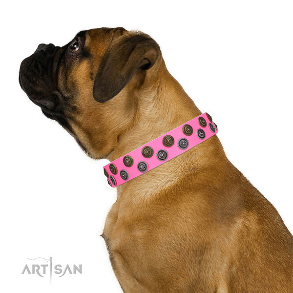 Walking decorated dog collar of finest quality material