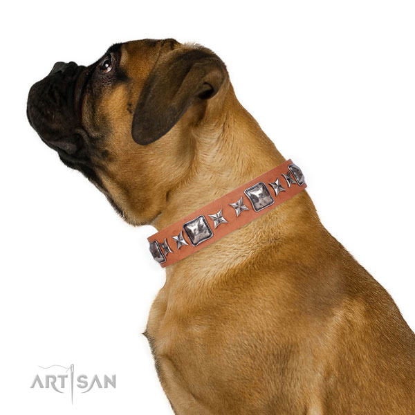 Walking studded dog collar of strong material