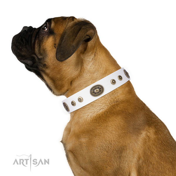Top notch embellished leather dog collar for everyday walking
