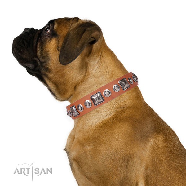 Fashionable studded genuine leather dog collar for handy use