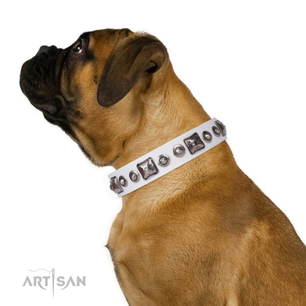 Incredible studded natural leather dog collar for daily use
