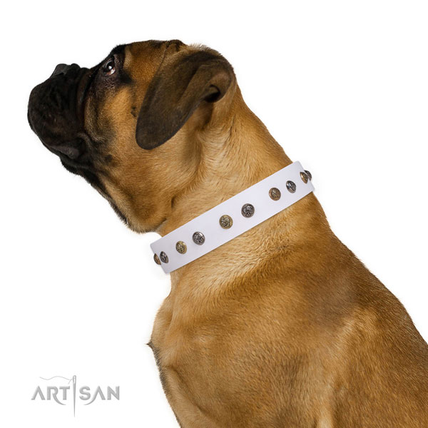 Full grain leather dog collar with strong buckle and D-ring for easy wearing