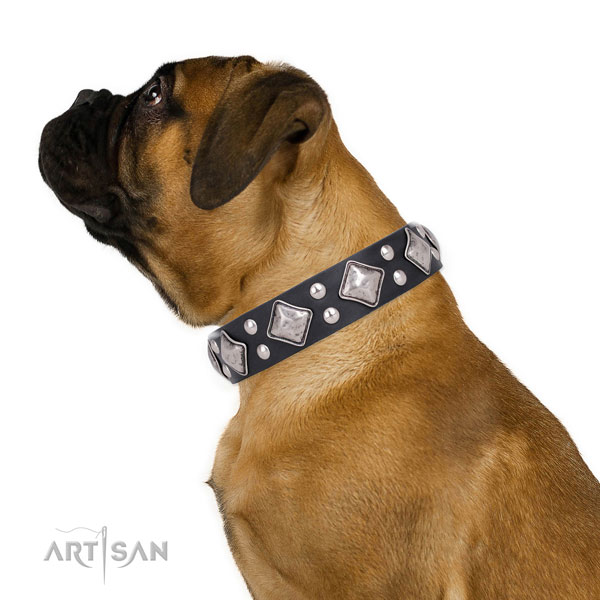 Everyday walking decorated dog collar made of strong leather