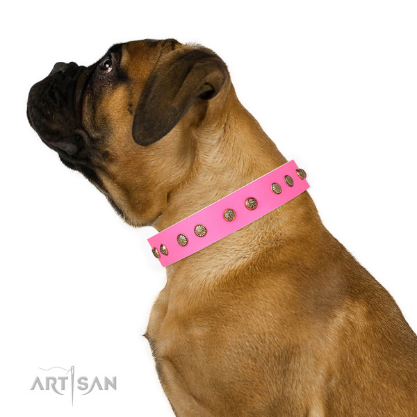 Exquisite embellishments on comfortable wearing full grain genuine leather dog collar