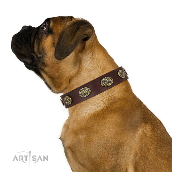 Unique embellishments on walking full grain natural leather dog collar