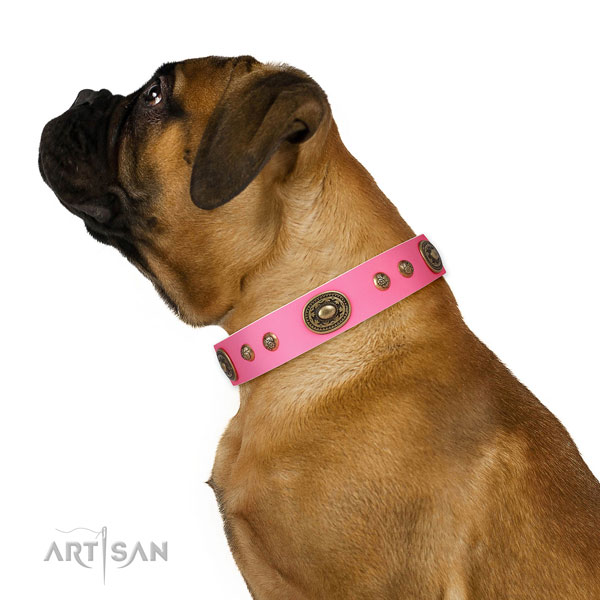 Unusual embellishments on daily use dog collar