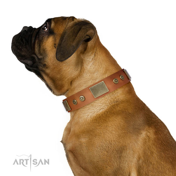 Durable walking dog collar of leather