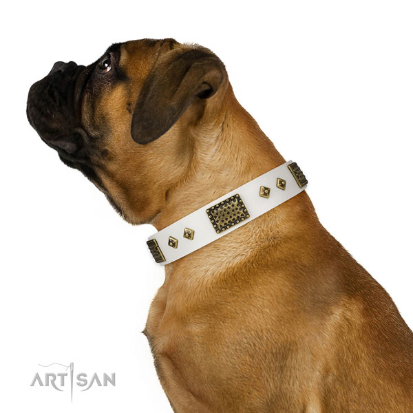 Comfortable wearing dog collar of natural leather with significant studs