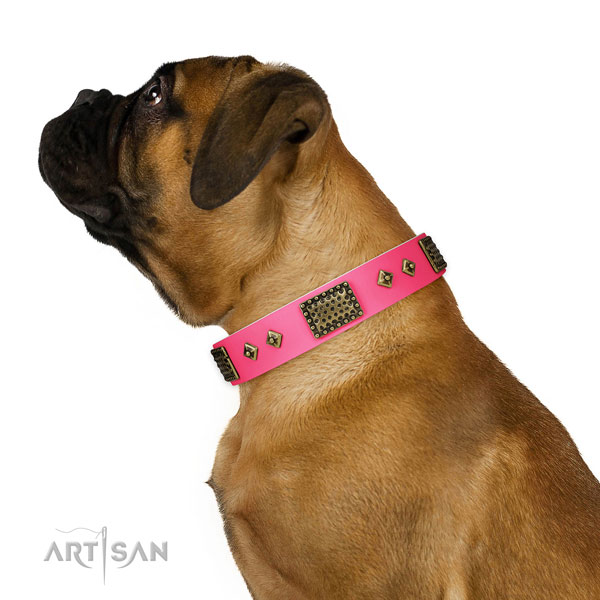 Incredible full grain leather collar for your beautiful canine