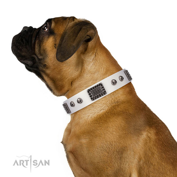 Stunning leather collar for your impressive doggie
