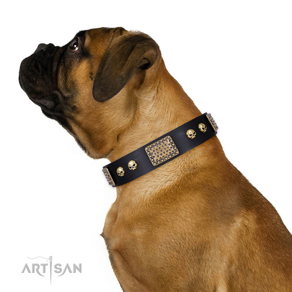 Durable buckle on full grain leather dog collar for everyday use