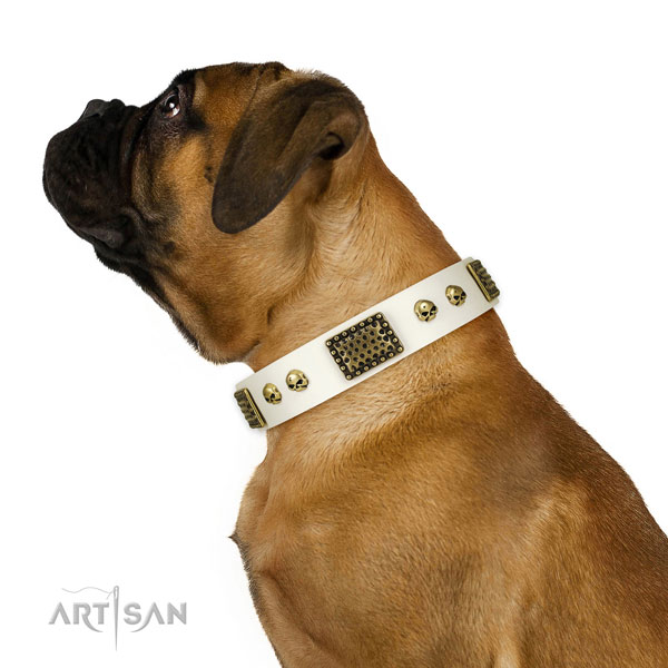 Durable D-ring on leather dog collar for easy wearing