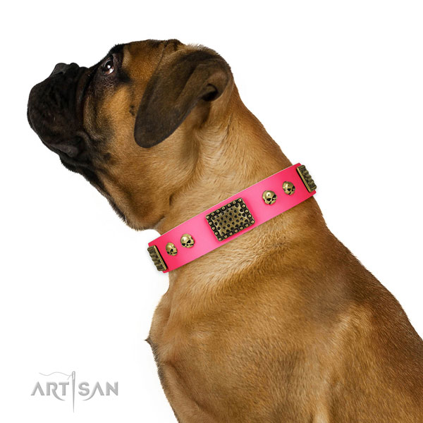 Corrosion proof hardware on leather dog collar for daily walking