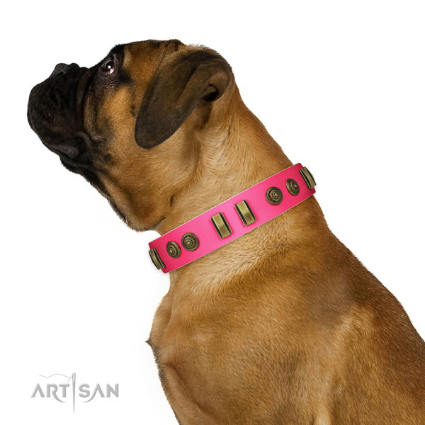 Stylish walking dog collar of genuine leather with awesome studs