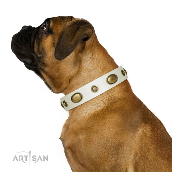 Everyday walking dog collar of leather with fashionable decorations