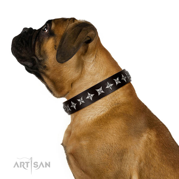 Daily walking adorned dog collar of high quality leather