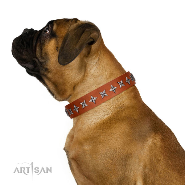 Finest quality full grain leather dog collar with amazing embellishments