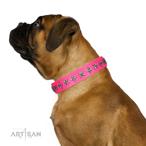 Fine quality full grain leather dog collar with exceptional decorations