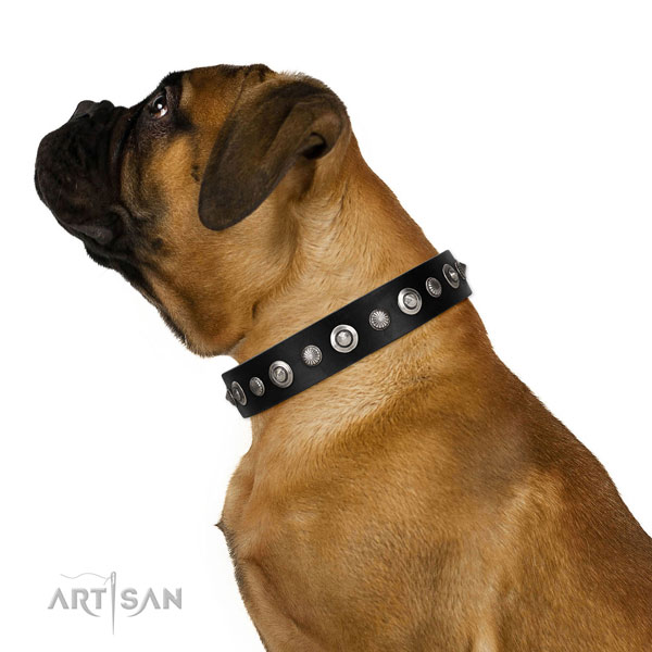 Finest quality genuine leather dog collar with exceptional decorations