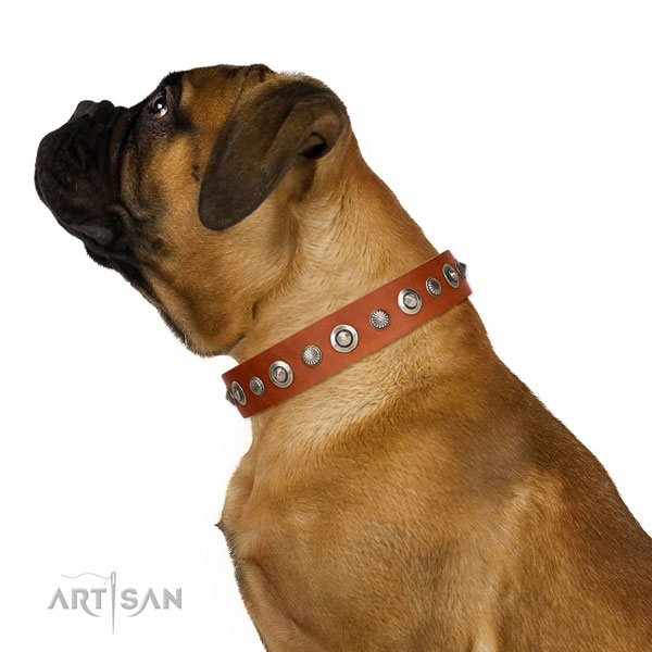 Genuine leather collar with corrosion proof D-ring for your impressive doggie