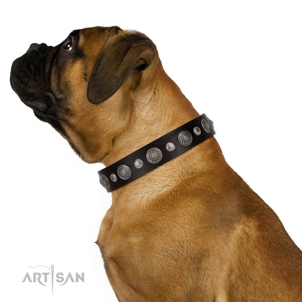 Designer full grain leather dog collar with corrosion proof buckle