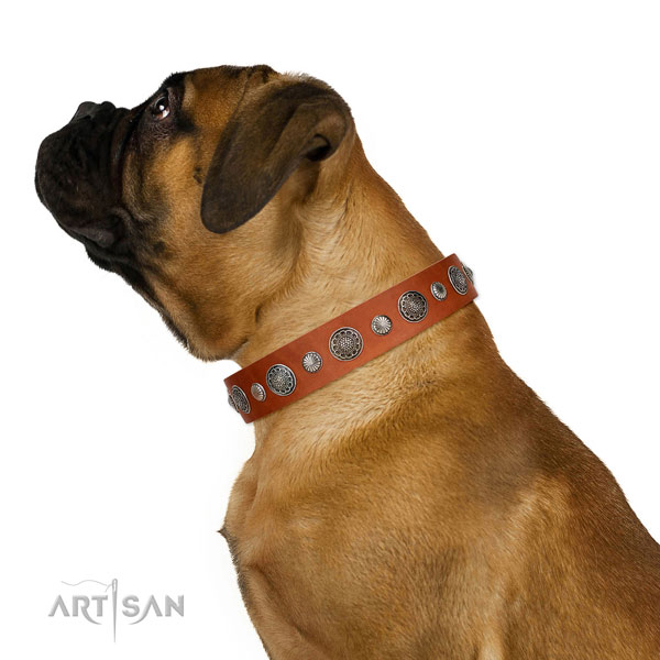 Easy to adjust full grain leather dog collar with rust resistant hardware